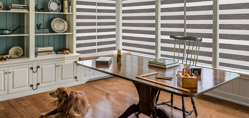 Window Treatment-Zebra Shades
