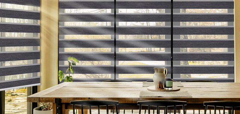 Zebra Shades for Living Room