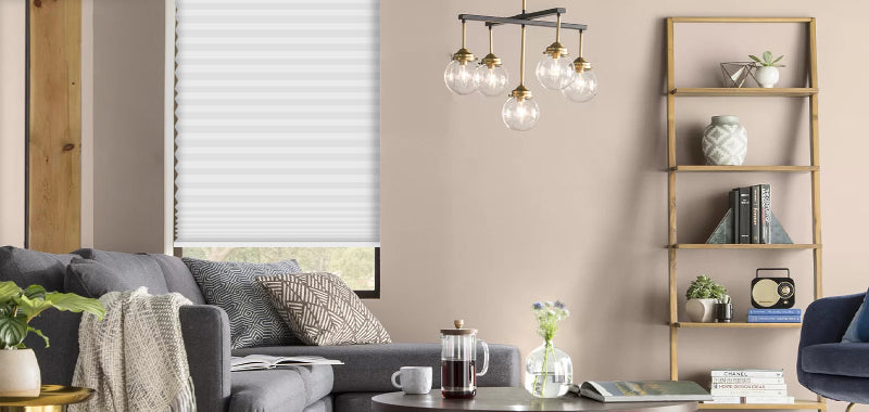 Living Room with Cellular Shade