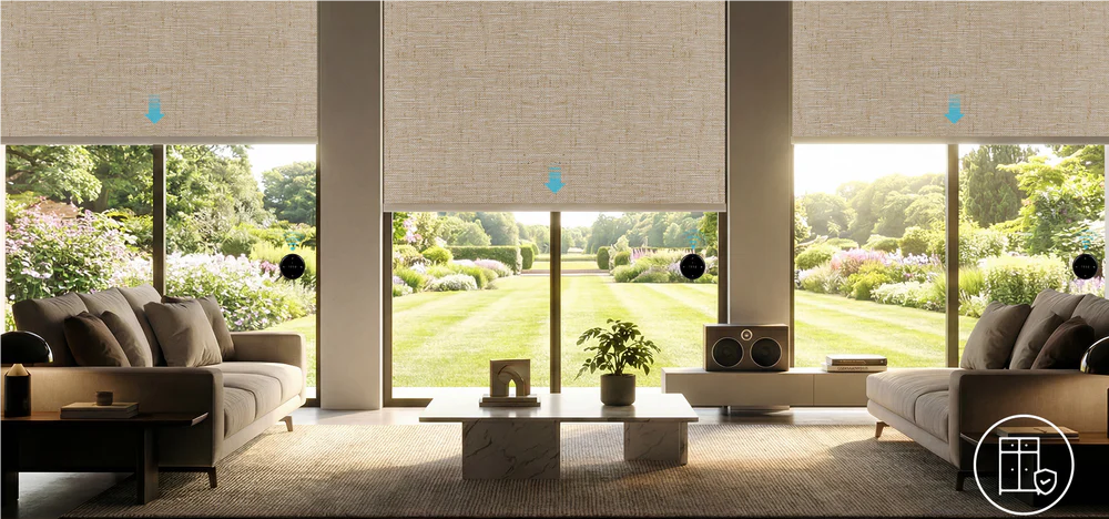 Roller Shades in the Living Room