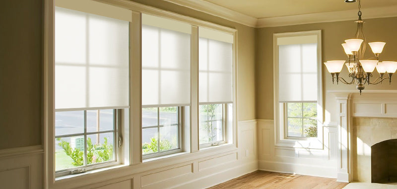 Roller Shades in the LivingRoom