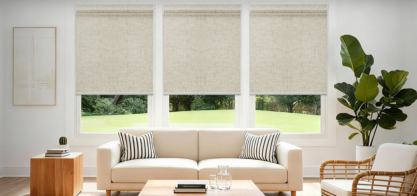 Living Room  with Roller Shade