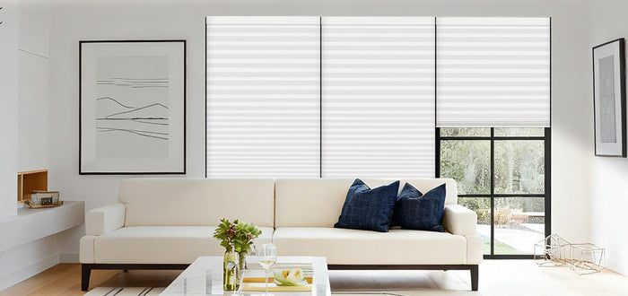 Livingroom with Cellular Shades