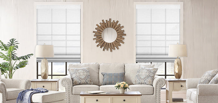 Living Room with Roller shades