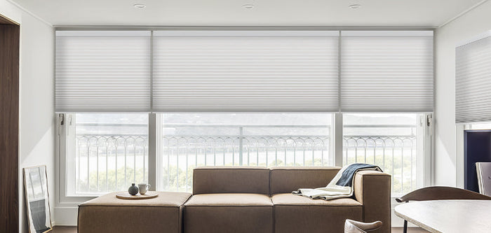 Roller Shades for Living Room