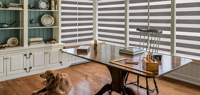 Window Treatment-Zebra Shades