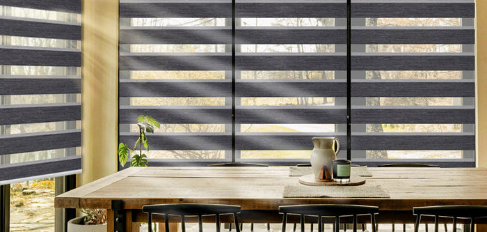 Zebra Shades for Living Room