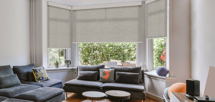 Bay Windows With Roller Shades