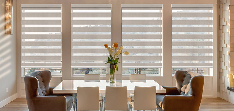 Zebra Shades for Living Room