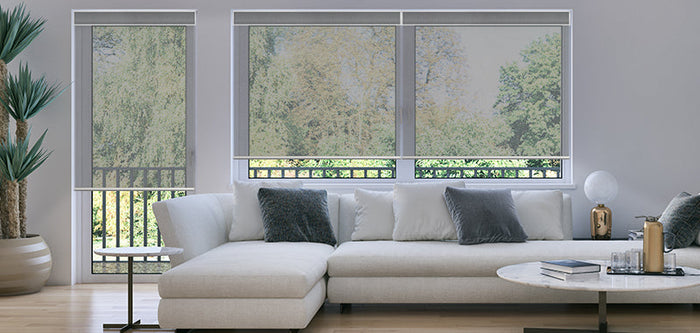 Roller Shades for Living Room