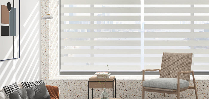 Zebra Shades for Living Room