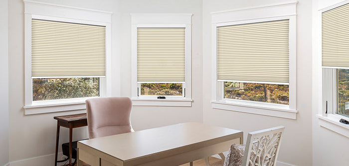 Window Treatment-Cellular Shades