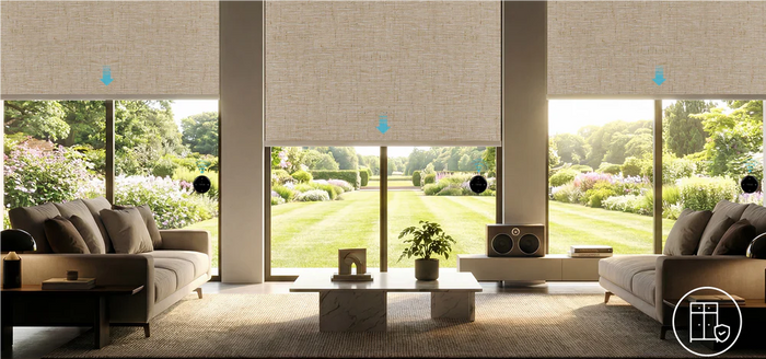 Roller Shades in the Living Room