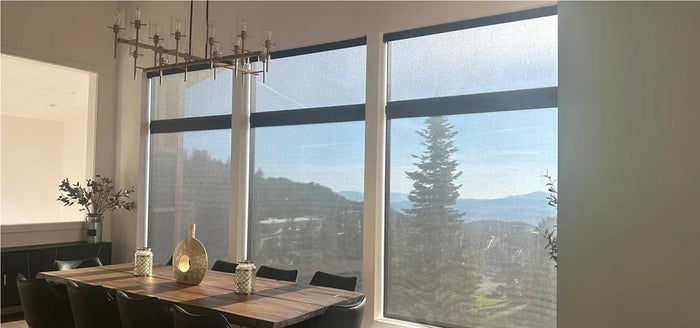 Real Customer Review-Smart Light Filtering Shades  in the dinning room 
