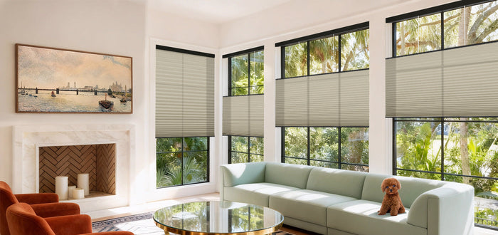 Livingroom With Levitate Shades