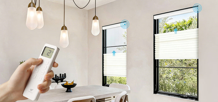 Duo 8-Channels Remote