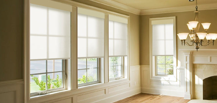 Roller shades in living room