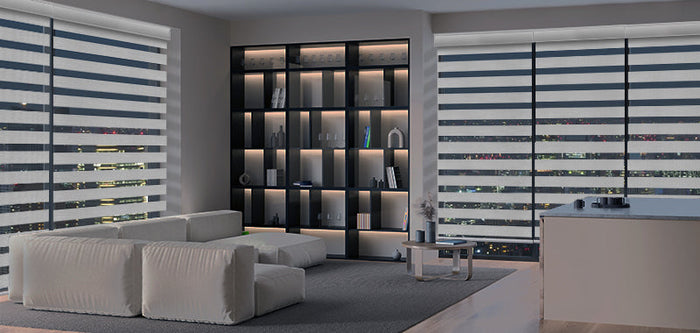 Zebra Shades for Living Room