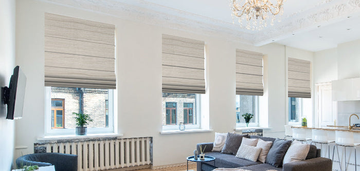 Dual Shades for Living Room