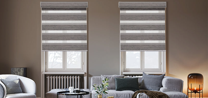 Zebra Shades for Living Room