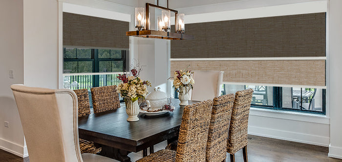 Dual Shades for Living Room