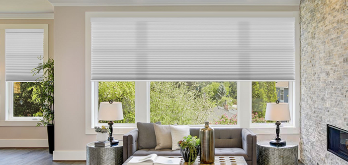 Cellular Shades for Living Room
