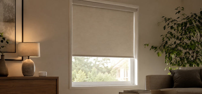 Warm living room scene with a reliable motorized roller blind, local smart home hub, and soft natural light.