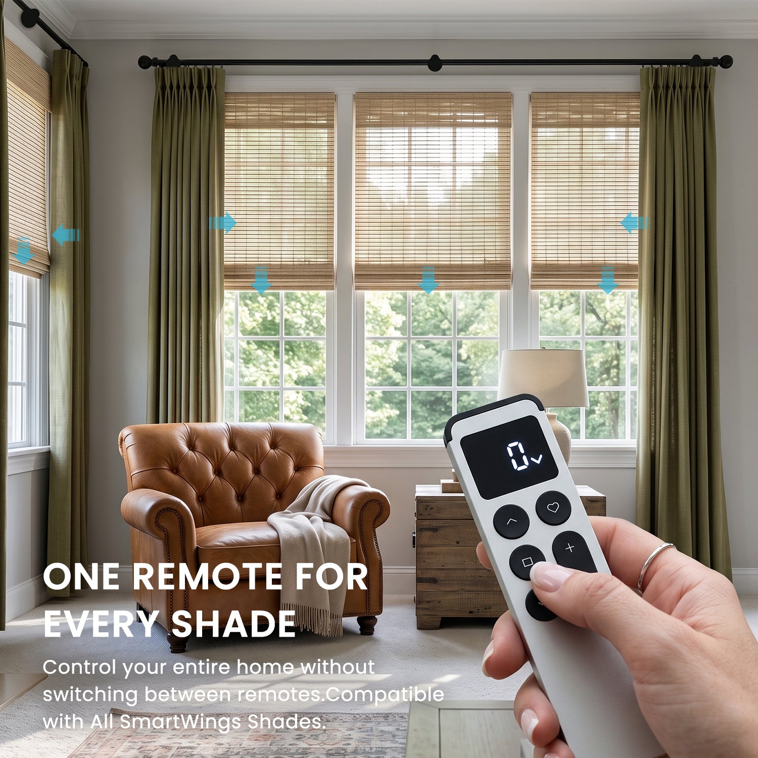 Luminary 15-Channel Remote
