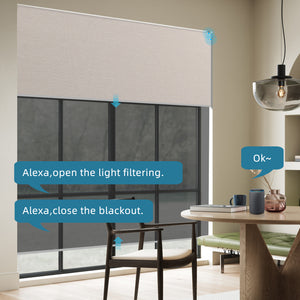 SmartWings Motorized Dual Shades