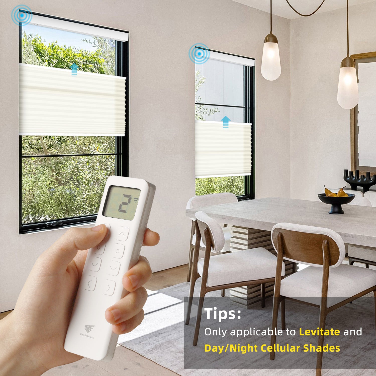 Duo 8-Channels Remote