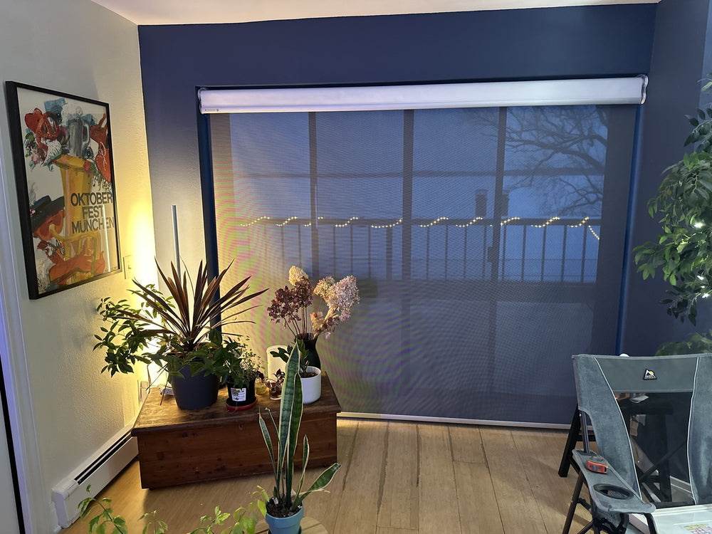 Dual Shade   - Vigor & Solar Shades 5% Openness