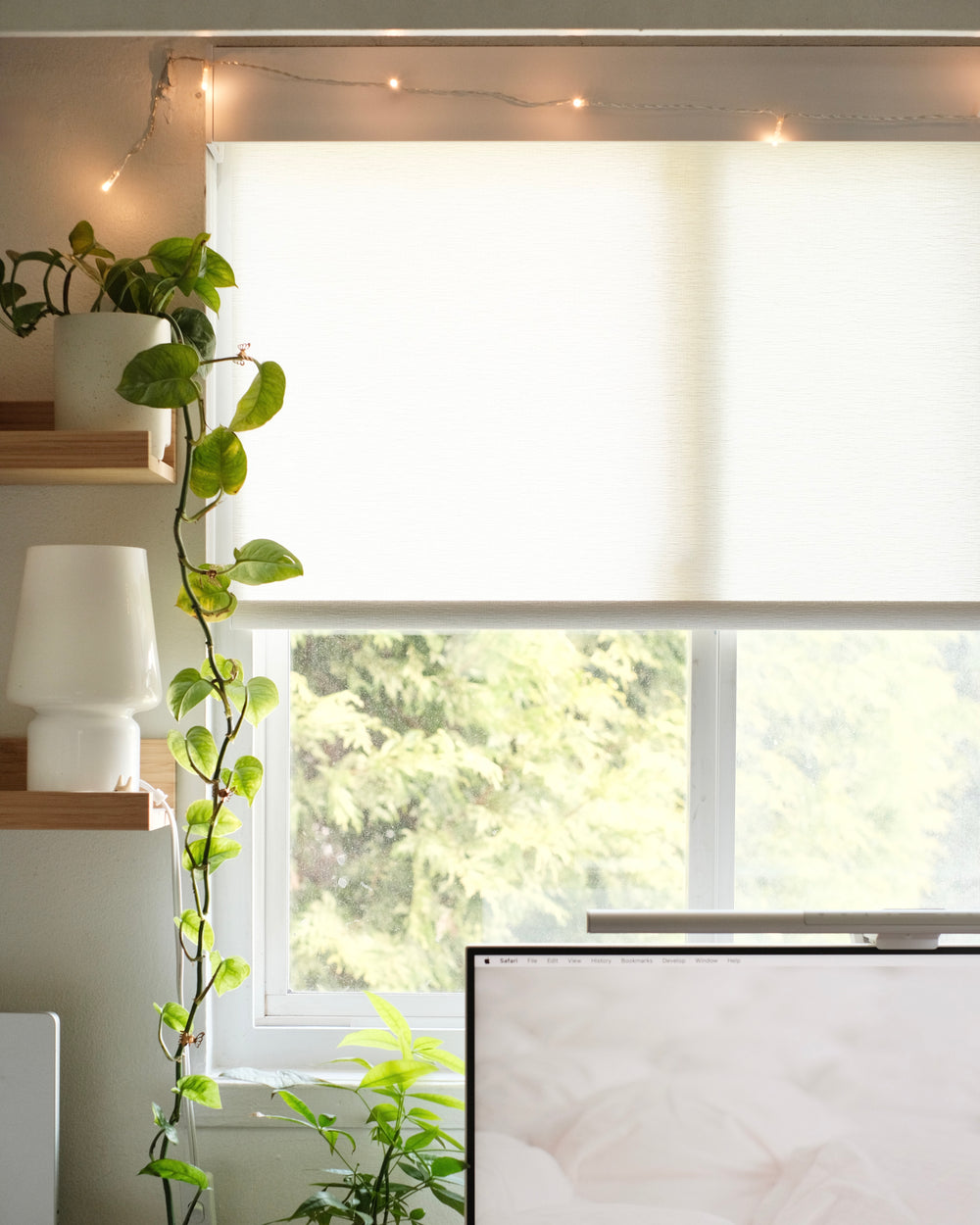 Roller Shade Safari White