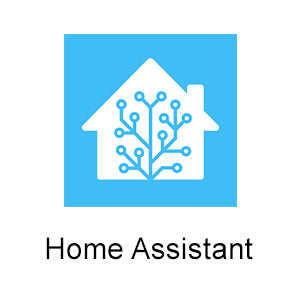 Home Assistant