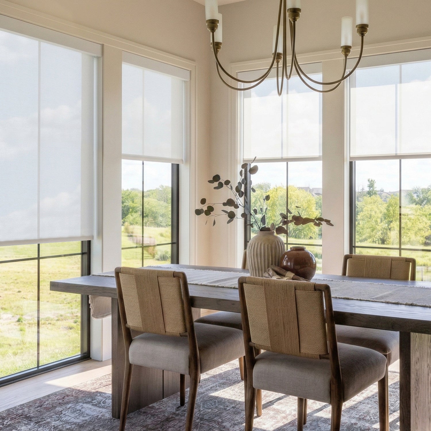 SmartWings Motorized Light Filtering Roller Shades 50% Blackout PVC Free Sunscreen