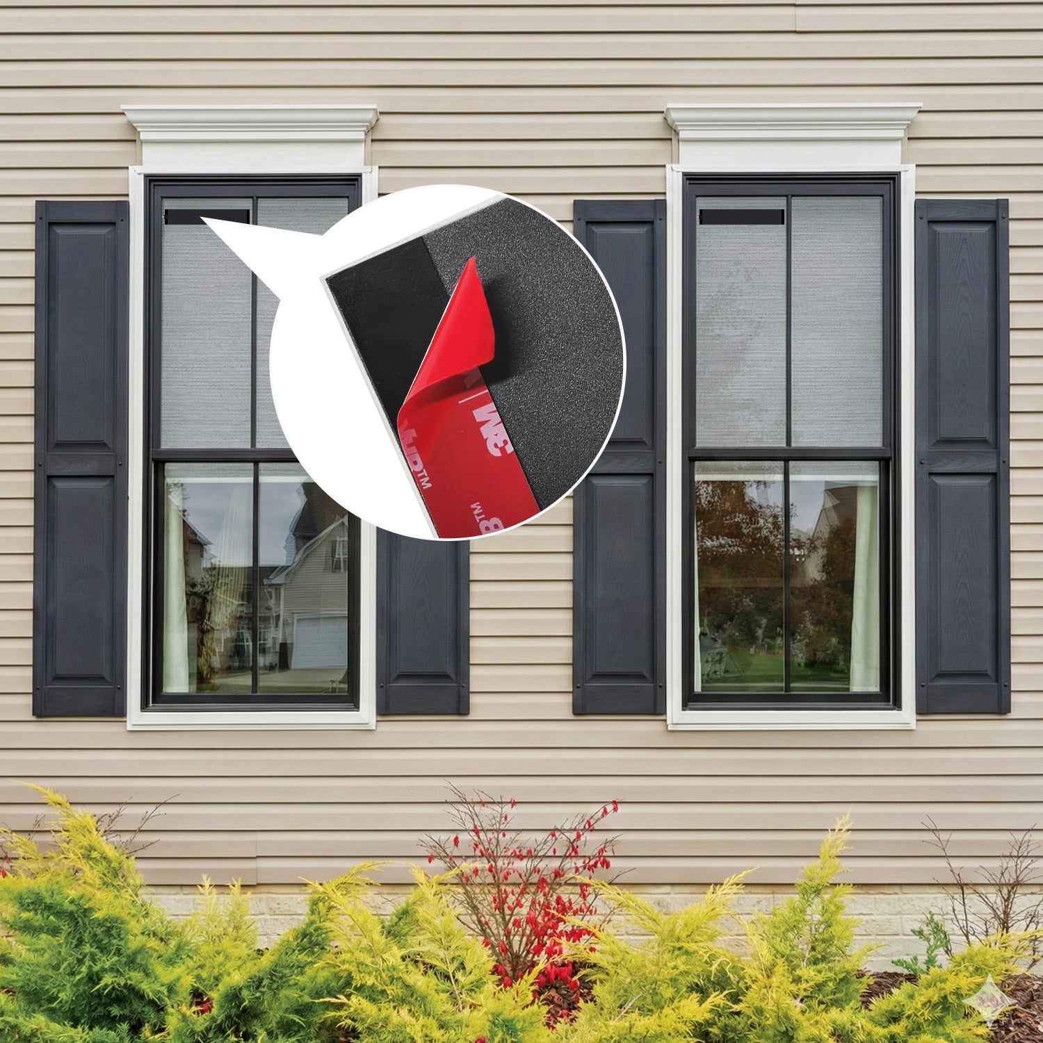 SmartWings Motorized Light Filtering Roller Shades 50% Blackout PVC Free Sunscreen