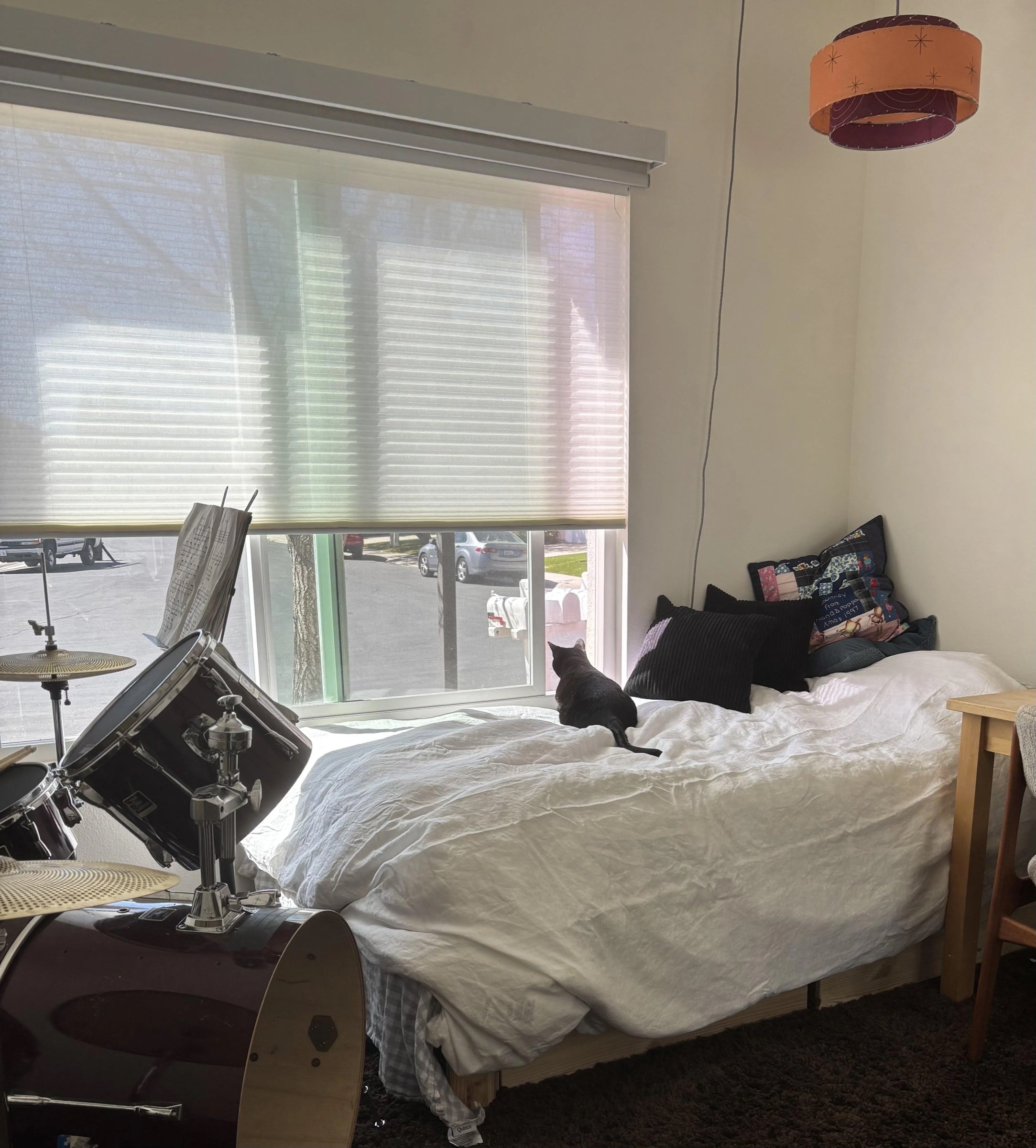 Cellular and roller shades in a bedroom music space